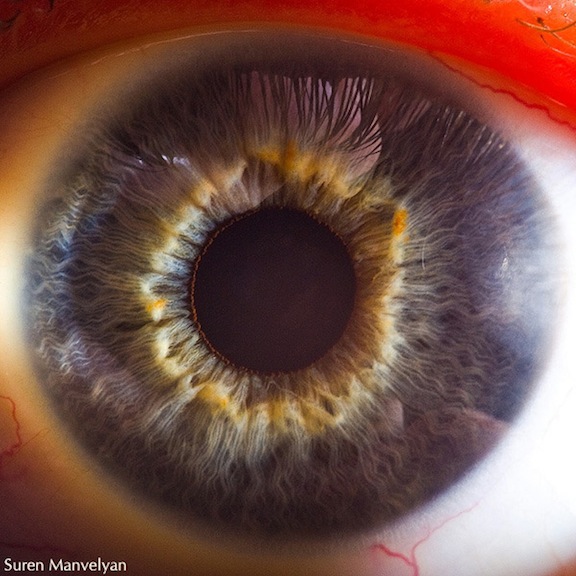 Wow… so this is what our eyes look like up close.